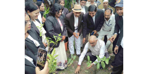 जिला महिला अधिवक्ता संघ द्वारा वृक्षारोपण कार्यक्रम आयोजित